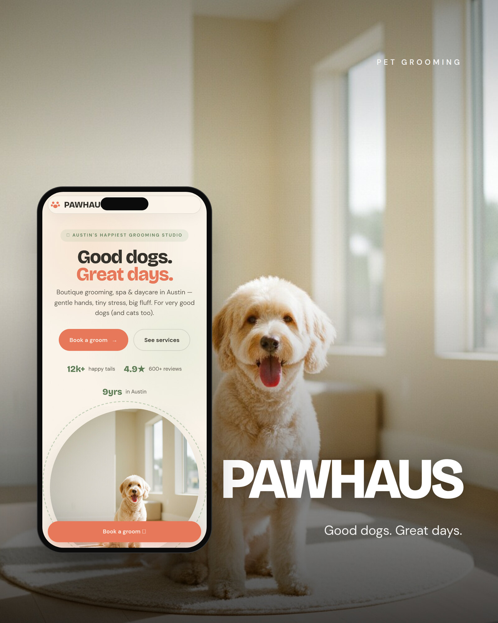 PAWHAUS — website by Lumen Studio